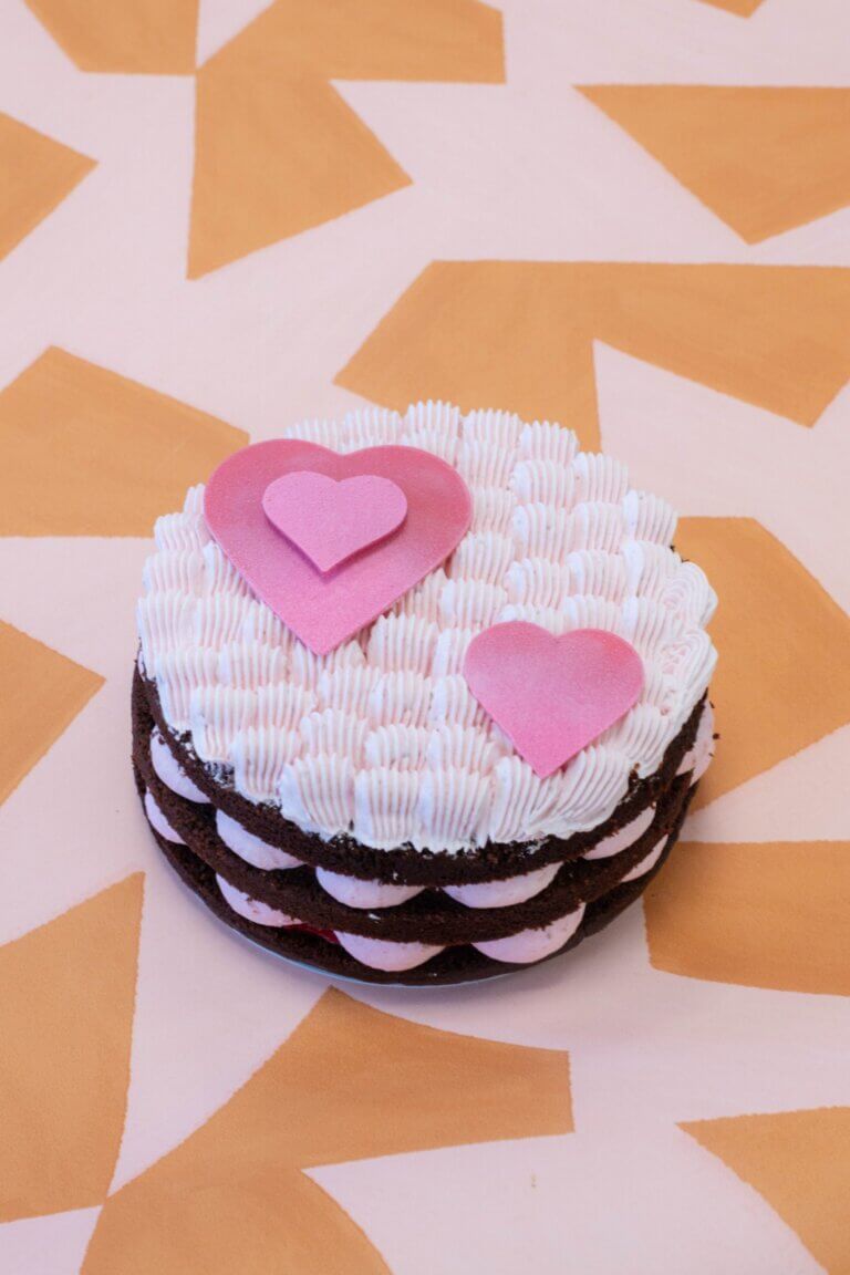 WhatsApp Image 2026-02-07 at 16.06.52